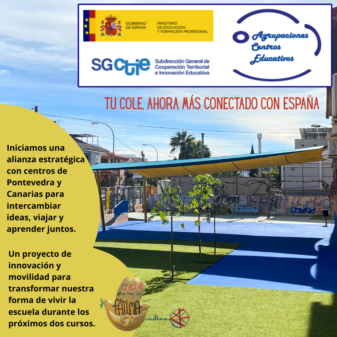 Arranca el proyecto 
